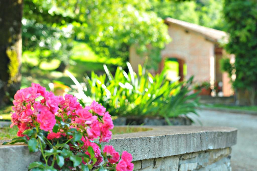 Agriturismo Popolano Di Sotto Marradi Exterior foto