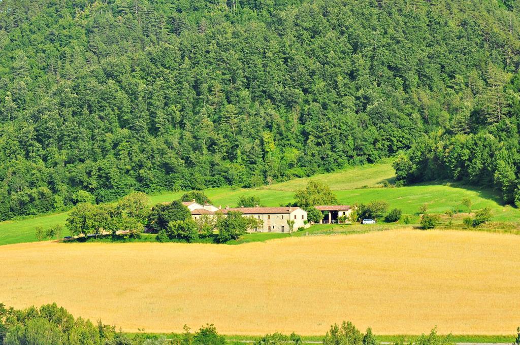 Agriturismo Popolano Di Sotto Marradi Exterior foto
