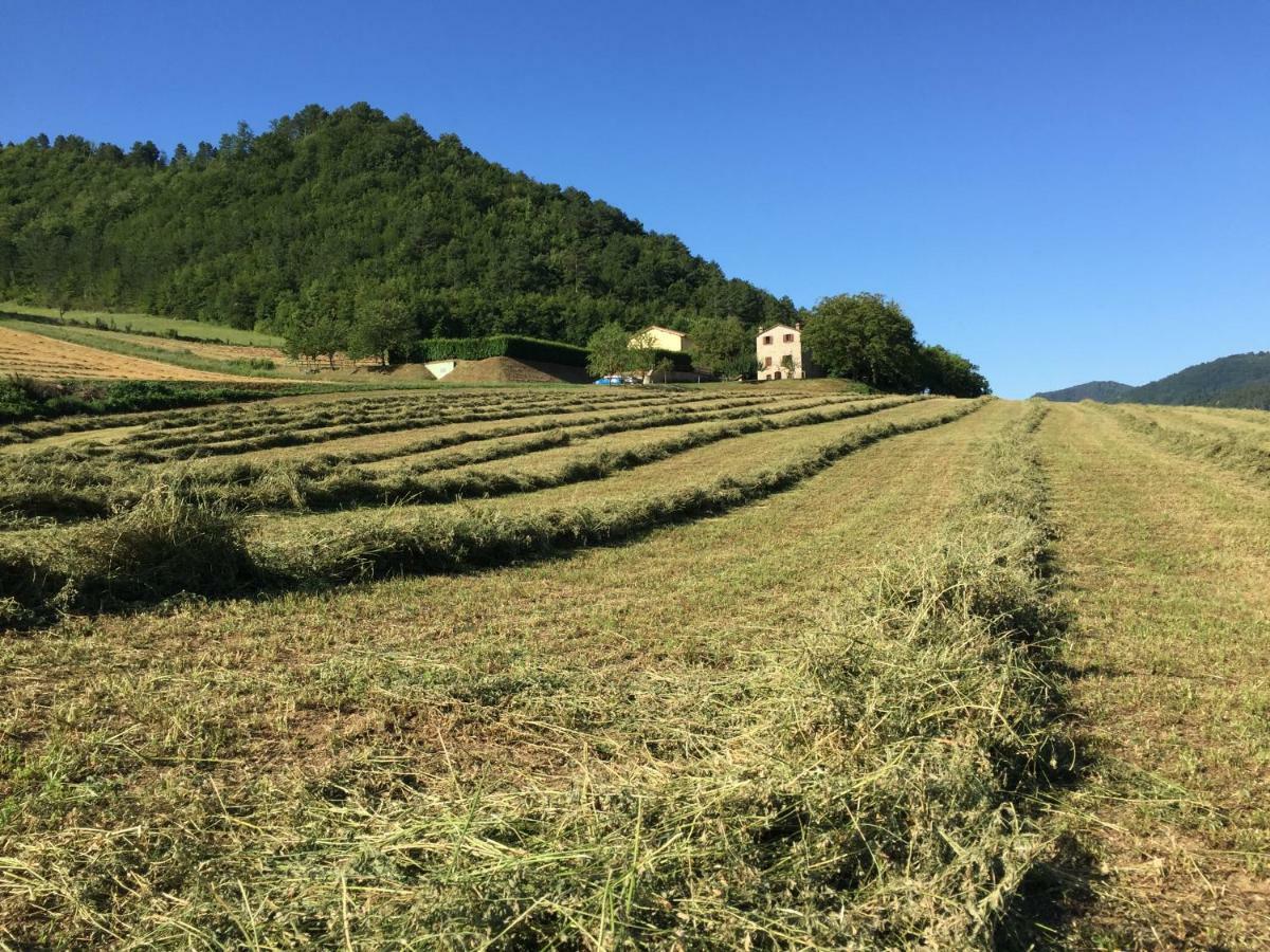 Agriturismo Popolano Di Sotto Marradi Exterior foto